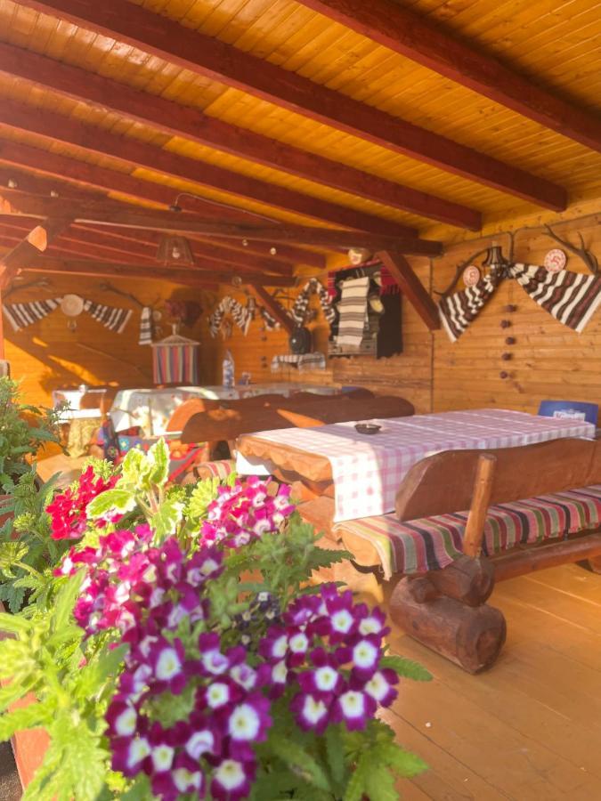 Hotel Casa Carmen à Dorna-Arini Extérieur photo