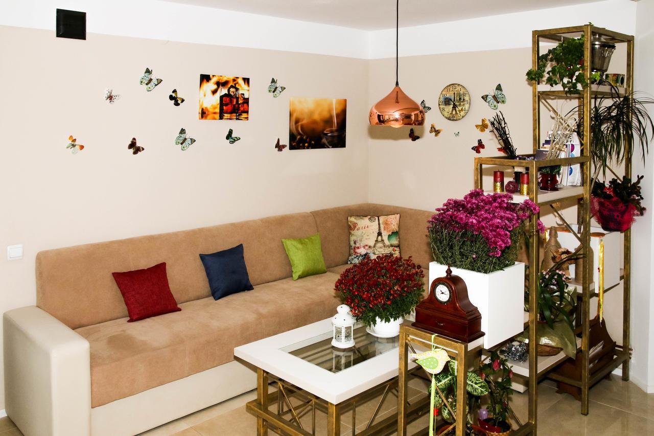 Hotel Casa Carmen à Dorna-Arini Extérieur photo